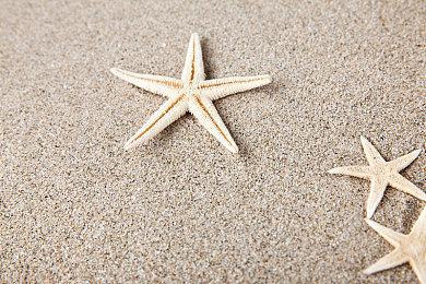 光荣特库摩请玩家不要再给虚拟角色寄情人节礼物了